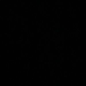 Meet your Posher, Jazzmin